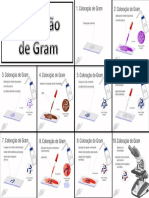 Coloração de Gram