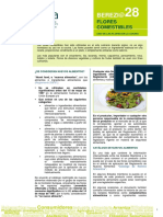 Berezi Flores Comestibles Formato PDF