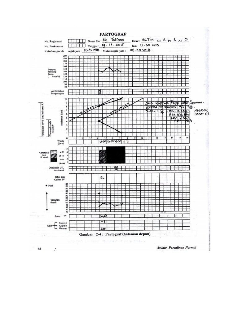 PATOGRAF | PDF