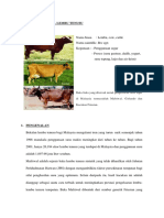 Projek Lembu Tenusu PDF