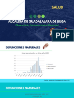 Defunciones Naturales - Observatorio Socioeconómico