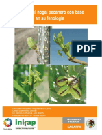 Manejo Del Nogal Pecanero Con Base en Su Fenologia1 PDF