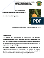 Manejo de Cultivos de Mango (Cultivos Perennifolios)