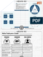 Blueprint Resolvido NeuroFerramenta Aplicada Coaching PDF