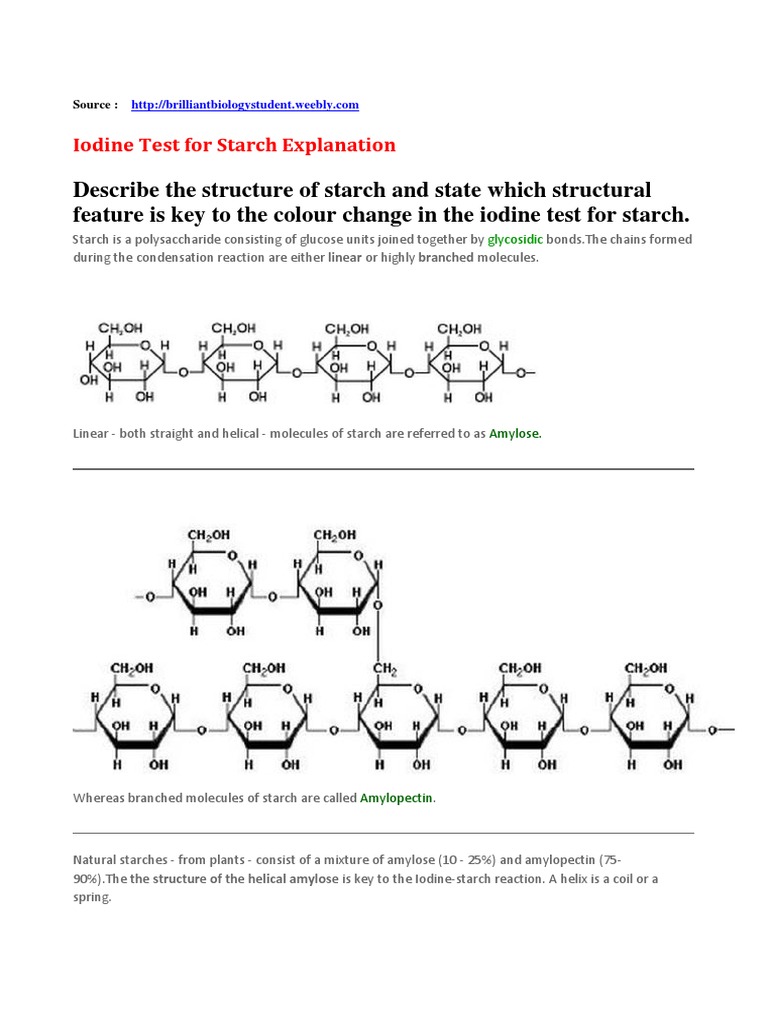 Describe The Structure of Starch and State Which Structural Feature Is ...
