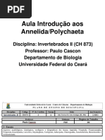 1. AULA INTRODUÇÃO AOS ANNELIDA - POLYCHAETA.pdf