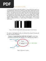 Convolutional Neural Networks