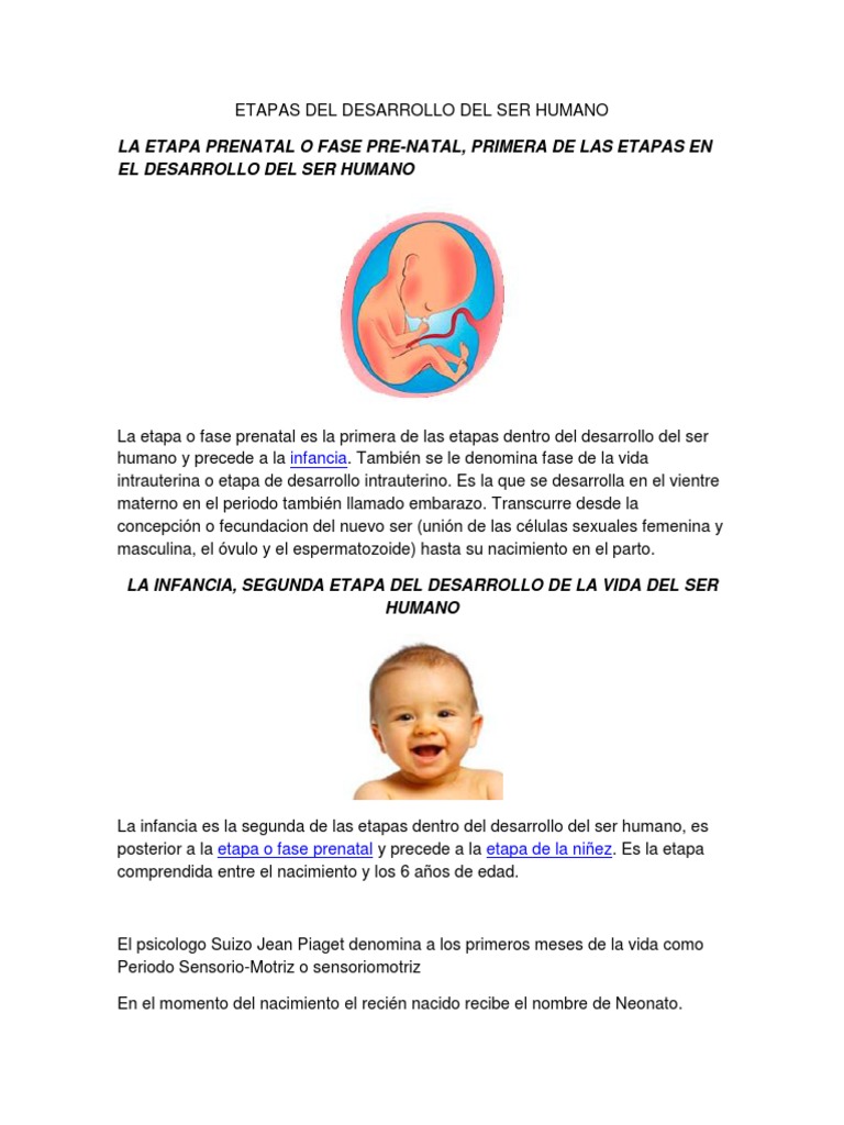 Etapas del Desarrollo Humano | PDF | Adultos | Vejez