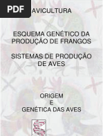 Aula 2 Genetica e Sistemas de Criacao