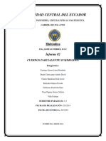 Informe 2 - Cuerpos Parcialmente Sumergidos