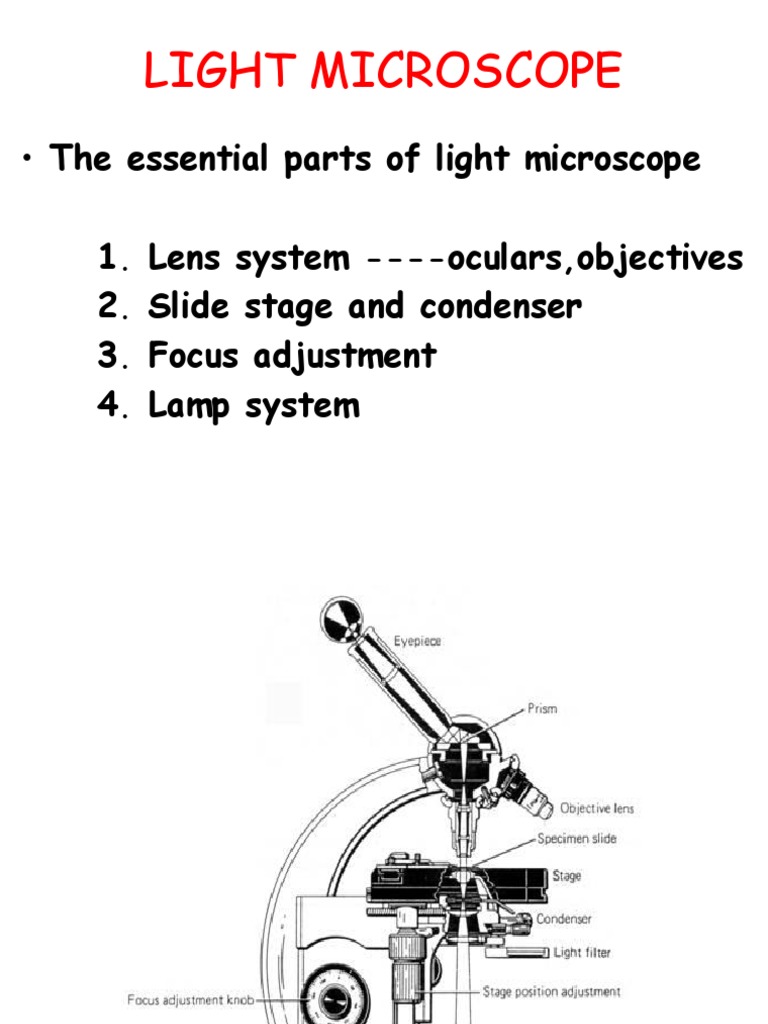 Essential Parts of a Light Microscope | PDF