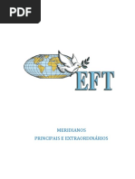 MERIDIANOS PRINCIPAIS