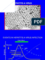 Hepatitis Virales