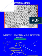 Hepatitis A, B, and C viruses: A guide to clinical features, transmission, and testing