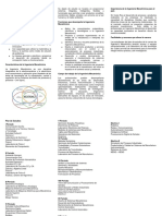 FolletoMecatronica.pdf