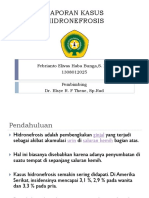 Lapsus Hidronefrosis ppt.pptx