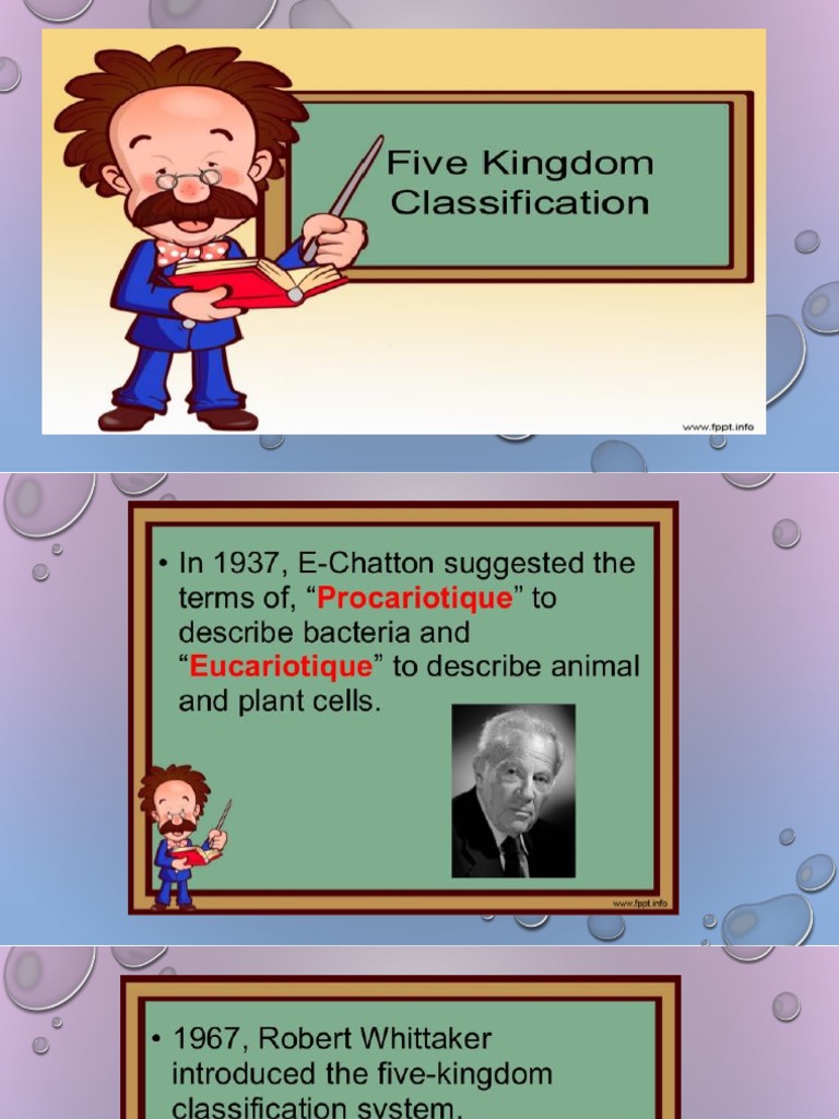 5 Kingdom Classification PDF Moss Plants