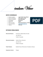 Curriculum Vitae