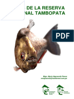 Peces de Tambopata