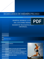 biomecanicademiembropelvico-141003154057-phpapp01