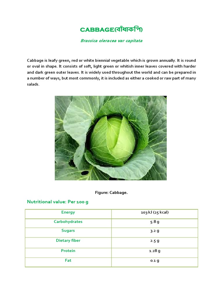 CABBAGE PDF Cabbage Cancer