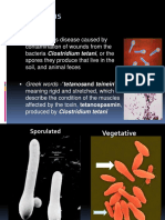 What is Tetanus Disease Caused By