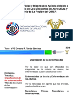 1 Manual de Patologia - Abejas OIRSA Mexico