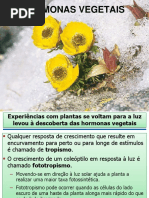 5 - Hormonas Vegetais