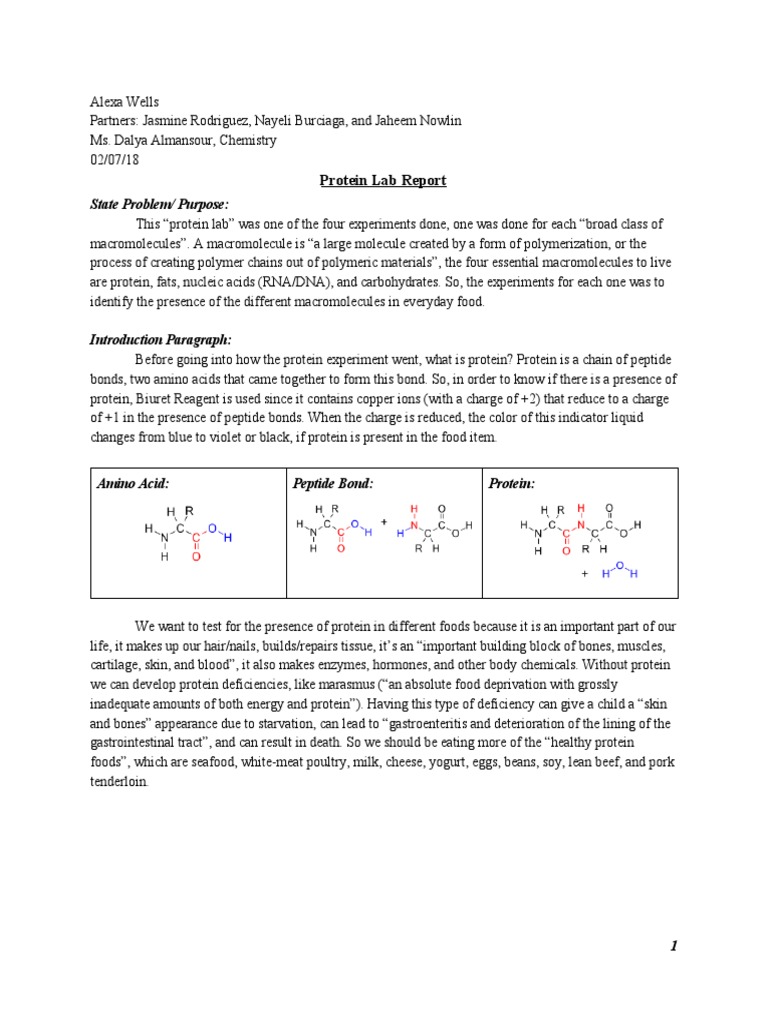 Macromolecules Lab Report PDF Macromolecules Peptide