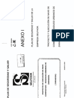 PSS Anexo I PDF