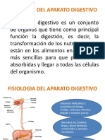 Fisiologia Del Aparato Digestivo Vic (1)
