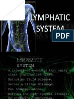 23424331 Lymphatic System