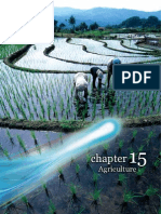 Download The Economic Transformation Programme - Chapter 15 by Encik Anif SN40123153 doc pdf