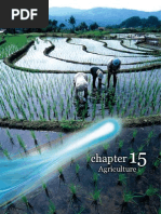 Download The Economic Transformation Programme - Chapter 15 by Encik Anif SN40123153 doc pdf