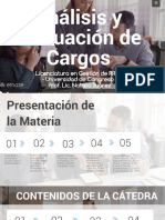 Manual de Puestos y Funciones