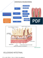 Fisiologia 01- p7