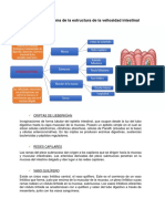 Fisiologia 01-p7