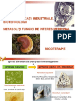 curs_micologie_7_2015.pdf