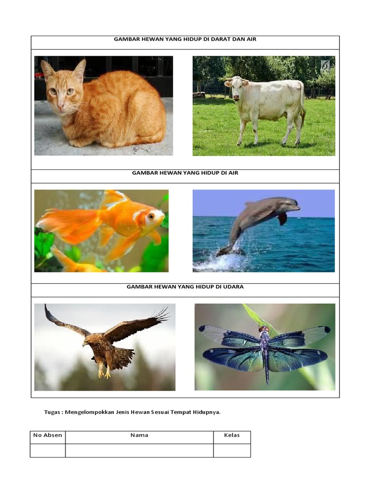 870 Gambar Hewan Hidup Di Air Dan Darat HD Terbaik