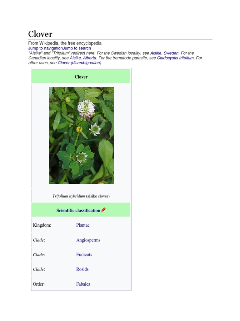 Clover: From Wikipedia, The Free Encyclopedia | PDF | Clover | Garden ...