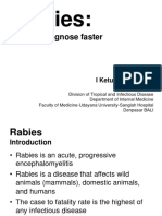 3. Lyssa Virus or Rabies