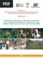 Cuellar-Patron_de_cambios_del_carbono.pdf