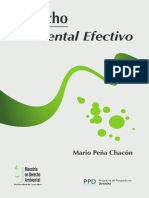 Derecho Ambiental Efectivo (3)(1).pdf