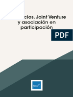 Consorcios Joinventure y A en P.pdf