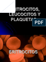 eritrocitosleucocitosyplaquetas-121124180451-phpapp01