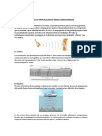 Propagación de Onda - Ejemplos