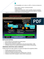 Ginecologia