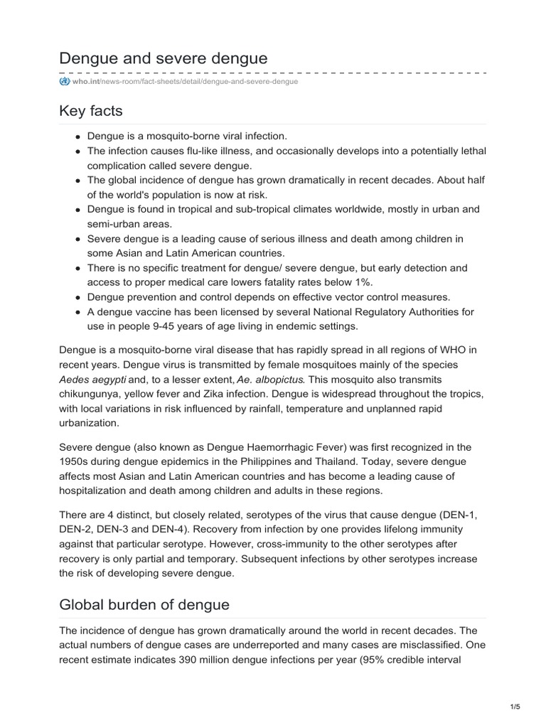 Dengue Facts for At-Risk Regions | PDF | Mosquito | Aedes Aegypti