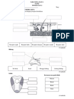 Ujian Mac Sains Tingkatan 2 Set 2.docx