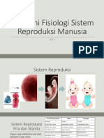 Anatomi Fisiologi Sistem Reproduksi Manusia